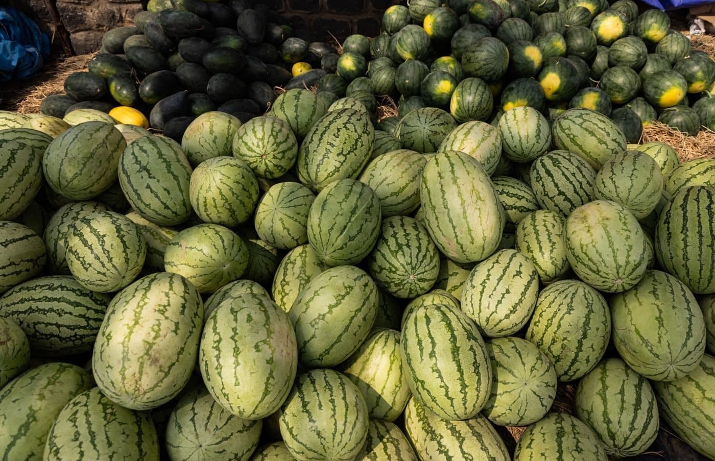 كومة من البطيخ الكامل في السوق